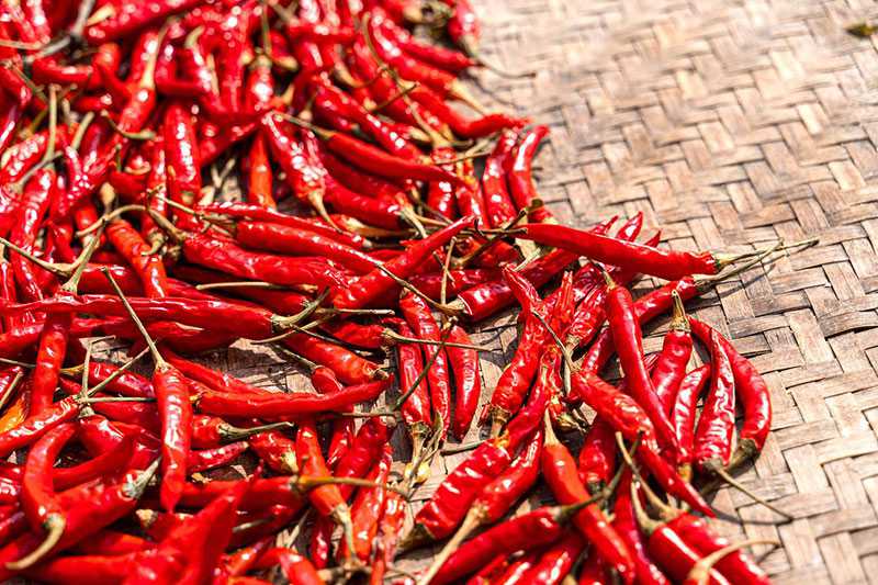 Spicy China: Ranking of Spiciness Across Chinese Provinces and Recommendations for Spicy Cuisines
