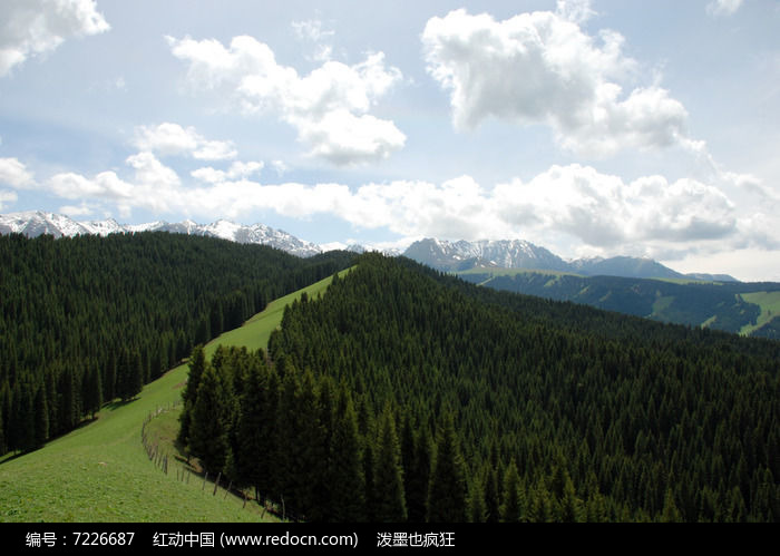 南山牧场