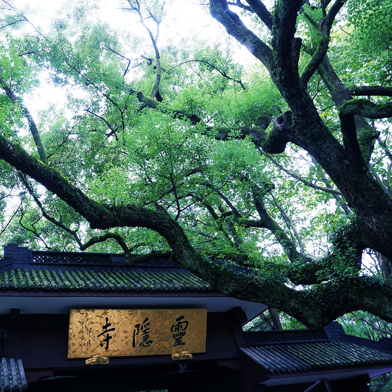 Lingyin Temple