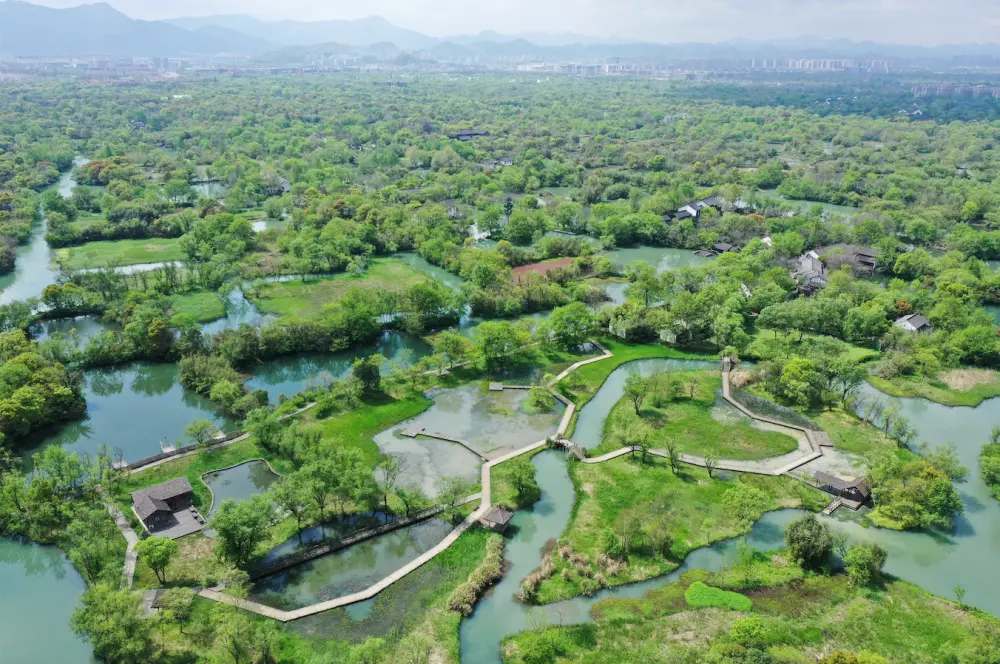 Xixi Wetland