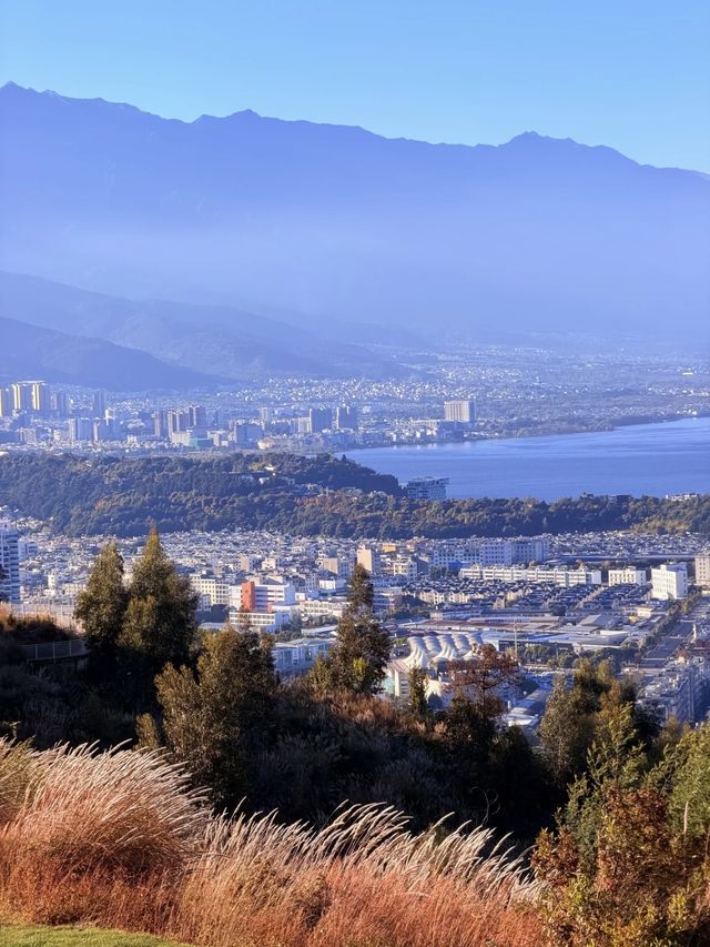 苍山