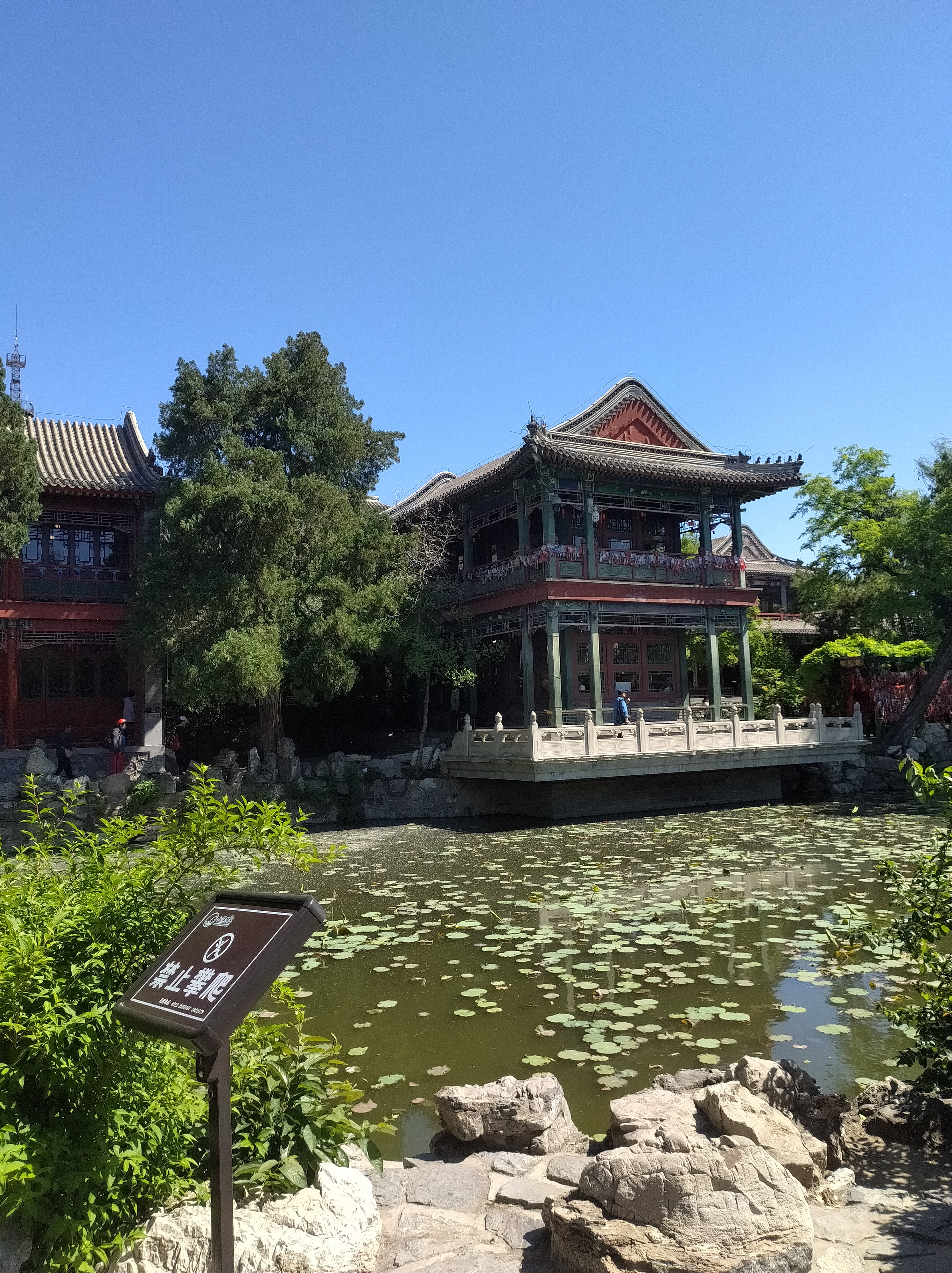古莲花池