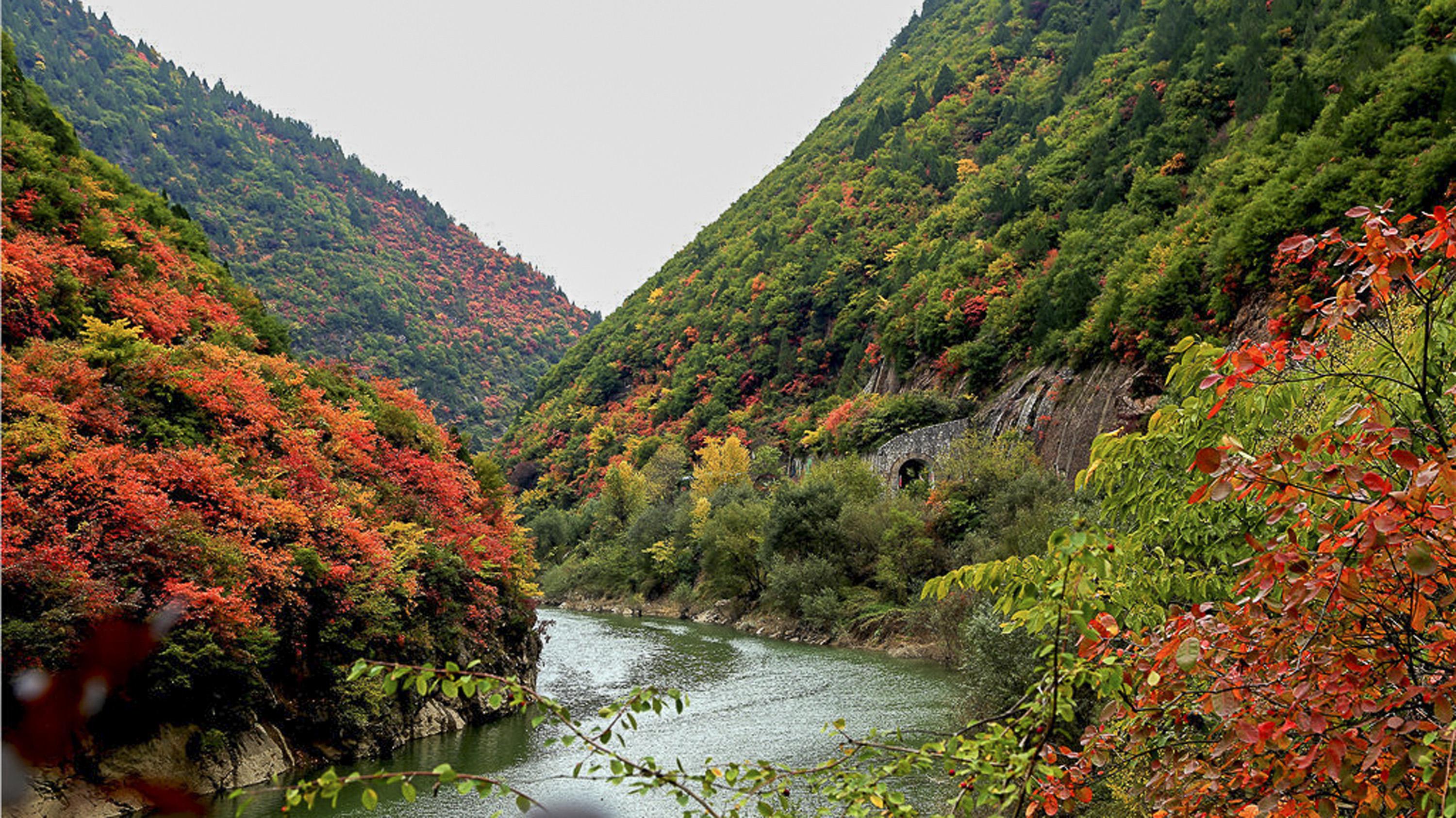 嘉陵江源头景区