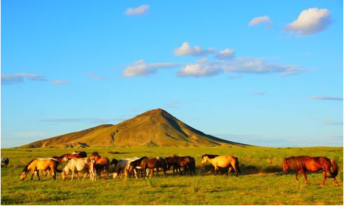 Urat Grassland