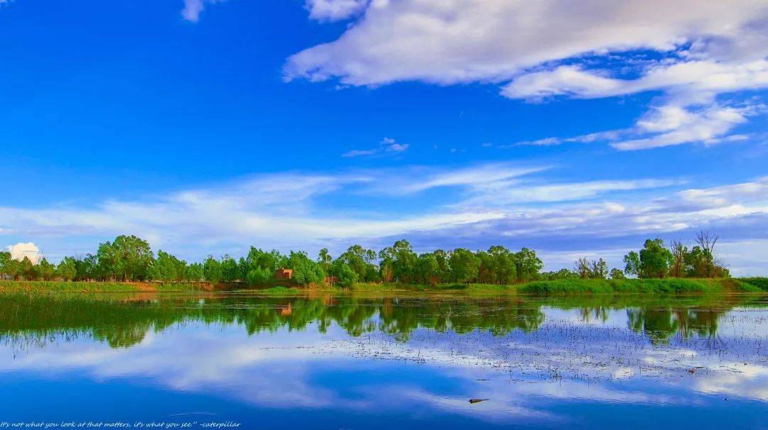 Hetao Yellow River Wetland Park