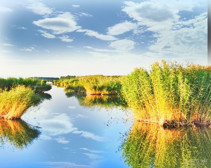 Nalin Lake