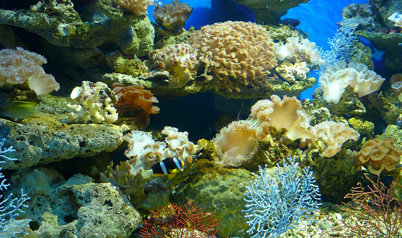 Beihai Ocean Window