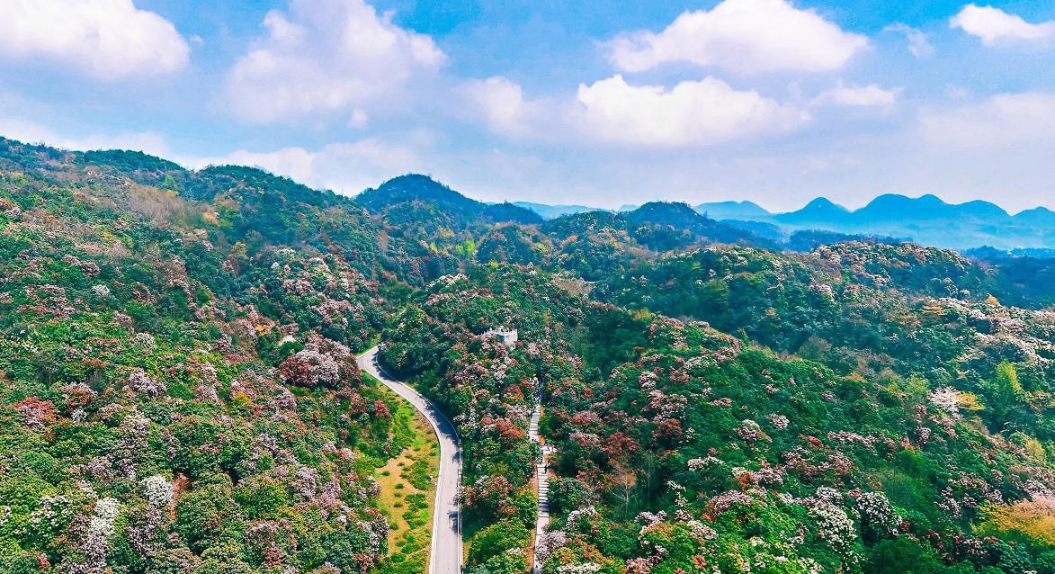Baili Dujuan Scenic Area