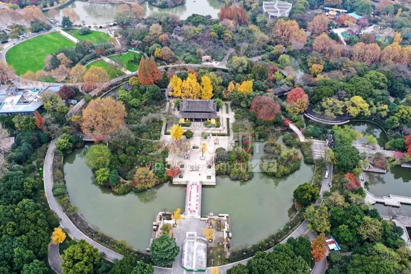 红梅公园
