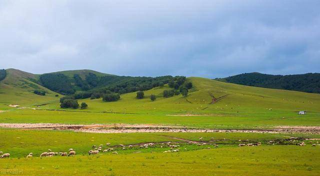 Ulanbutong Grassland