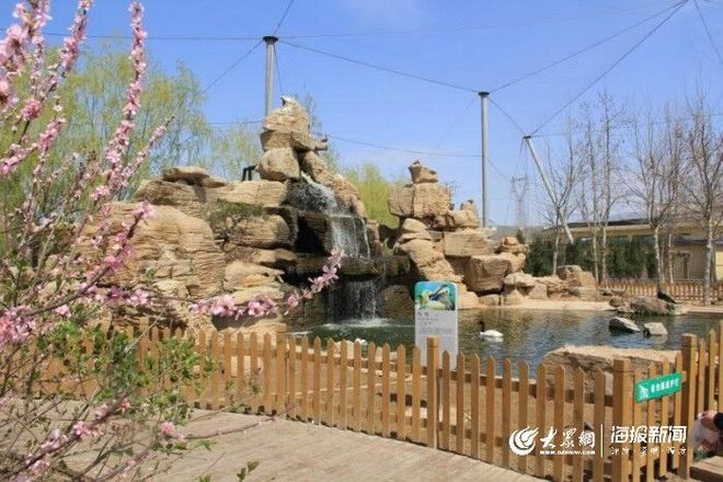 黄河三角洲动物园