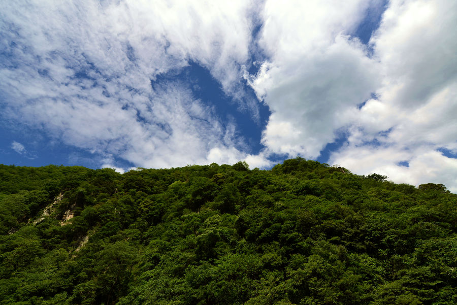 唐家河自然保护区