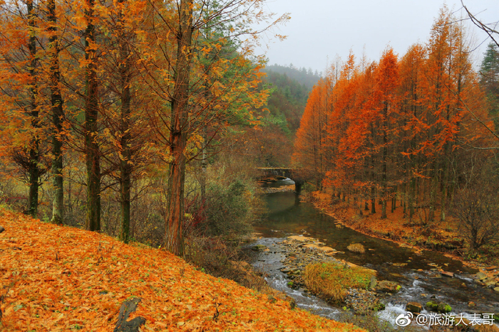 Liping National Forest Park