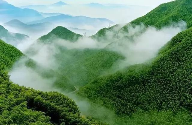 中国大竹海