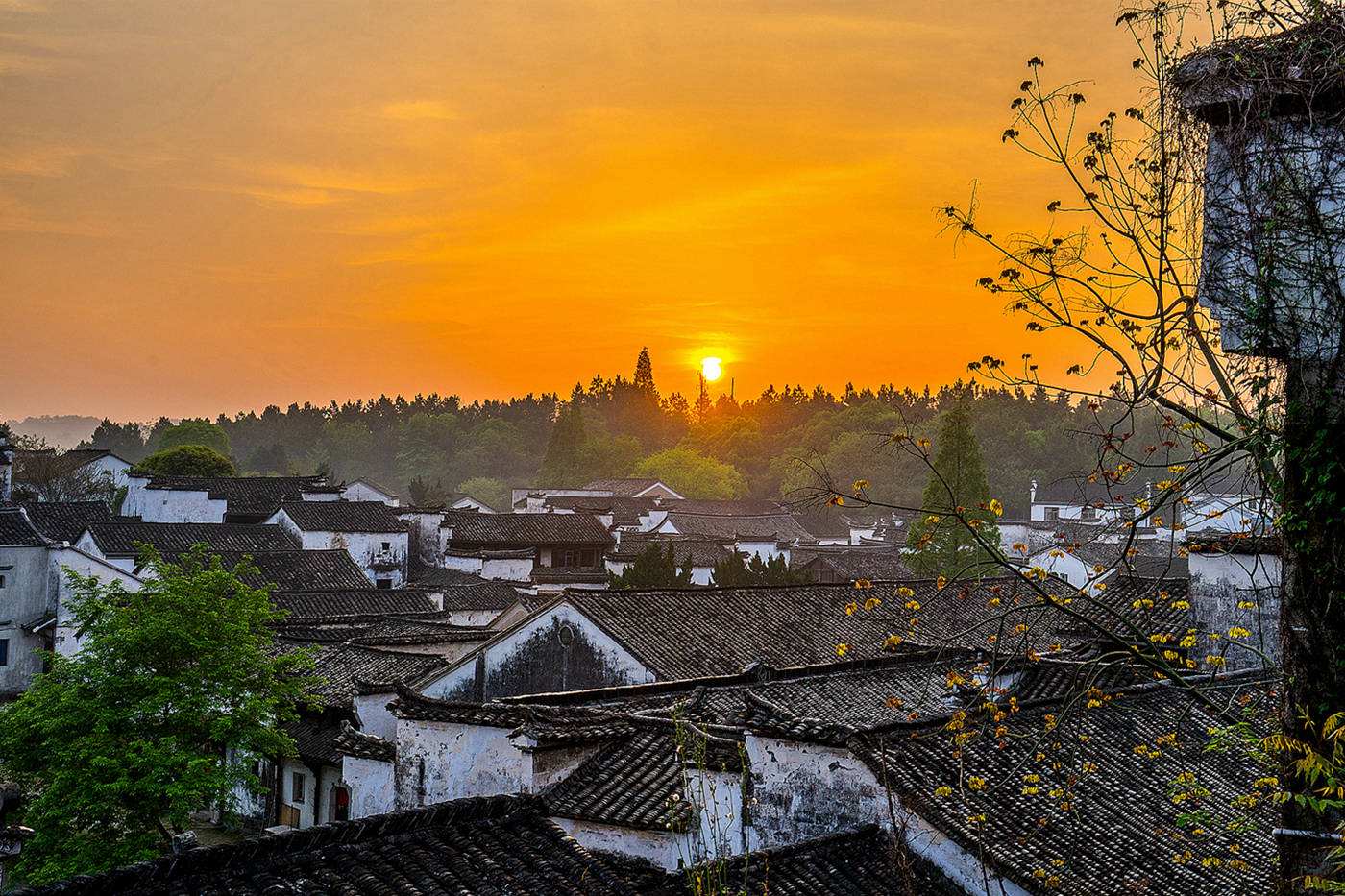 诸葛八卦村