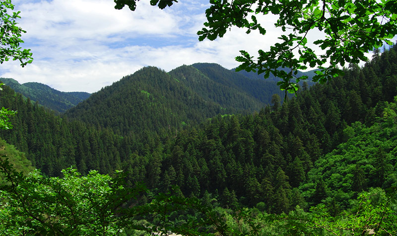 Xinglong Mountain Nature Reserve
