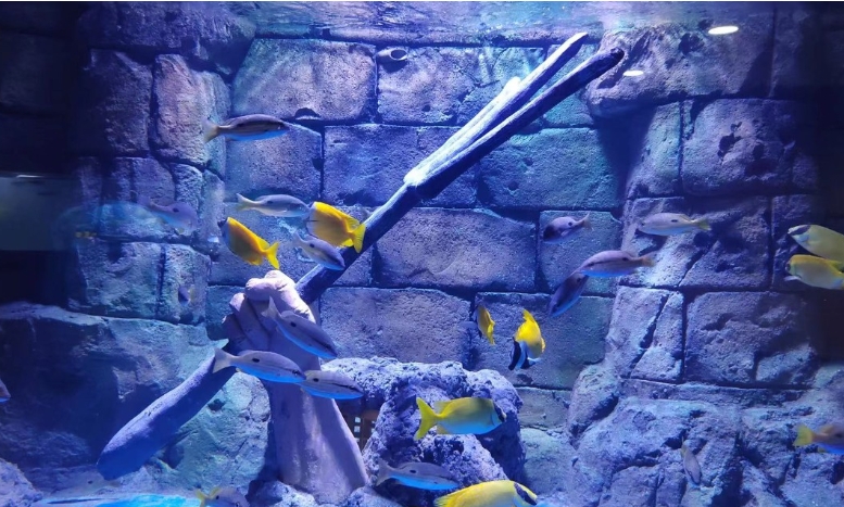 Luohe Aquarium