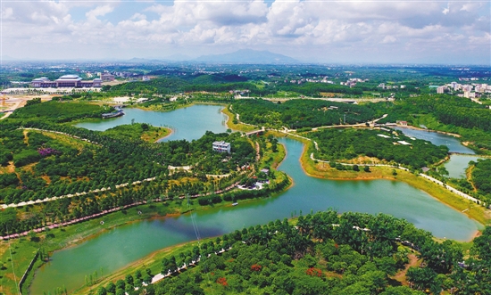 Maoming Forest Park
