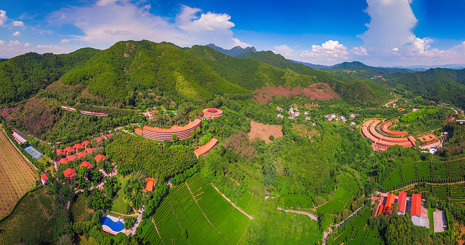Yannanfei Tea Plantation Scenic Area