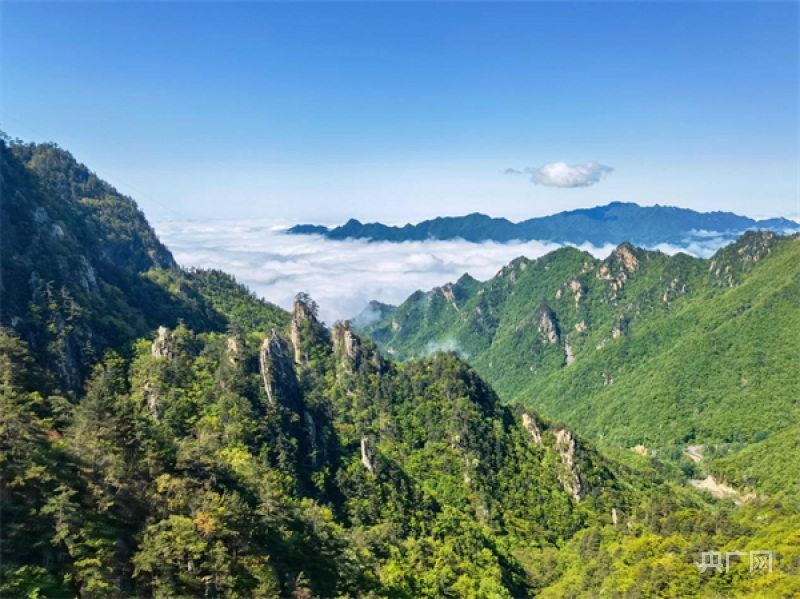 老界岭