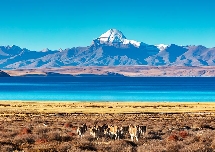 Mount Kailash