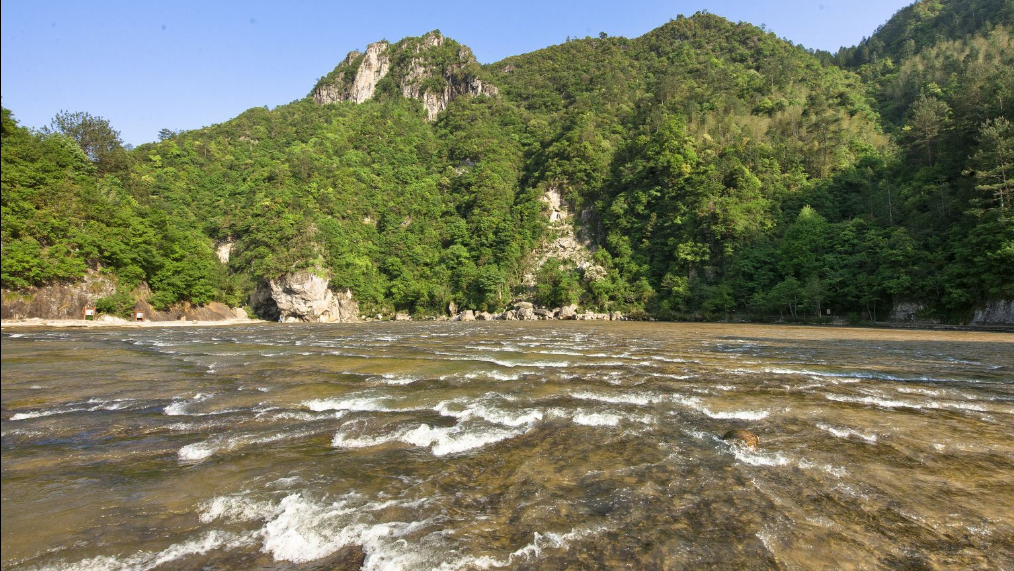 白水洋