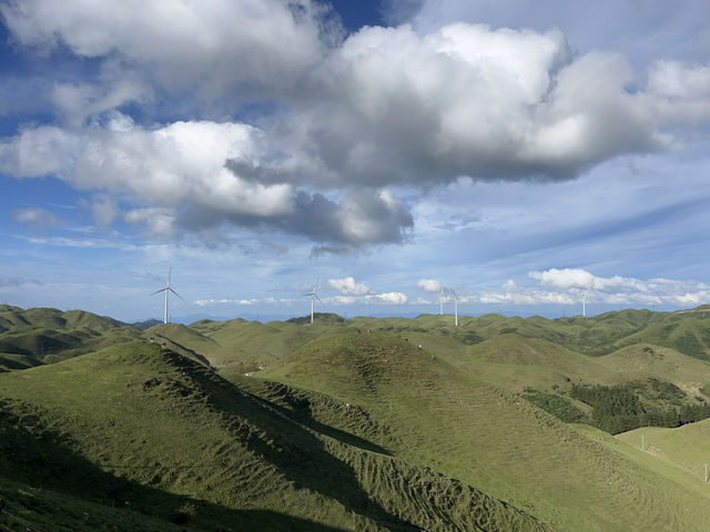 Nanshan Pasture