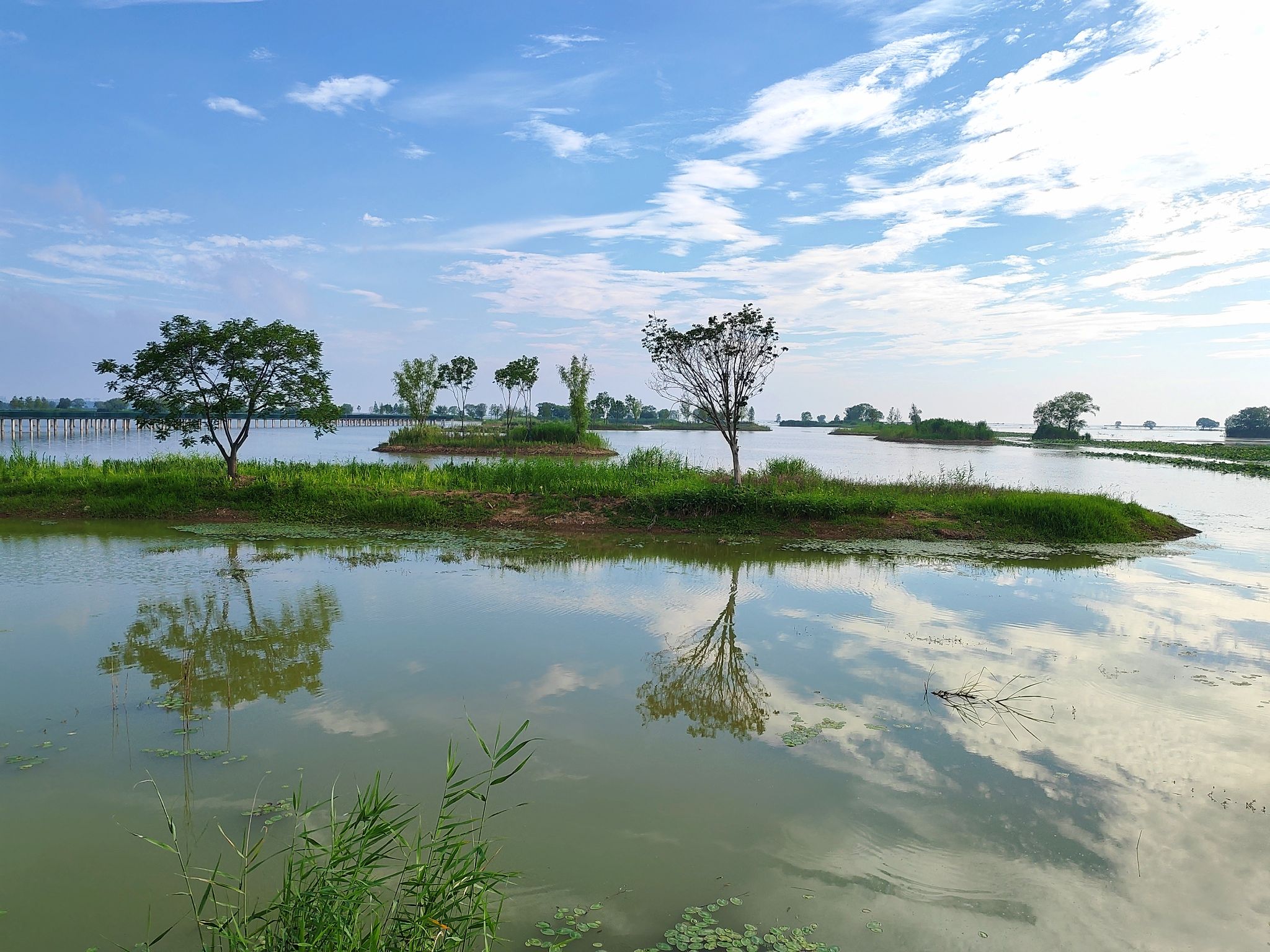 Hongze Lake Wetland Scenic Area