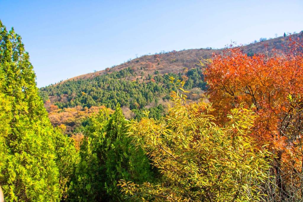 Huangcangyu National Forest Park