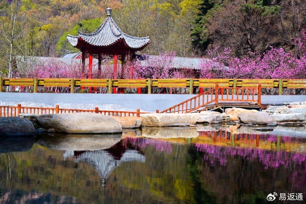 泰山桃花峪
