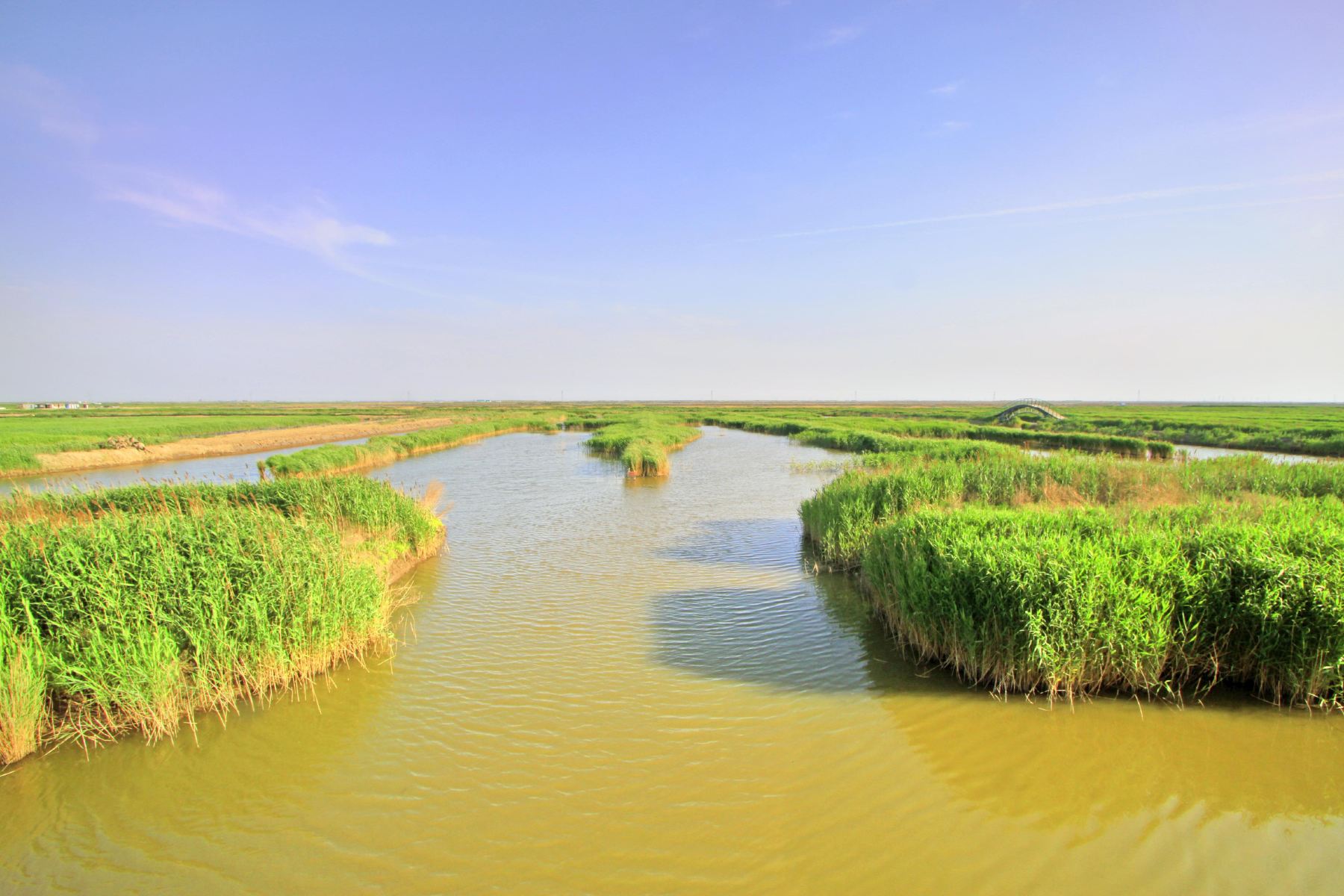 Caofeidian Wetland