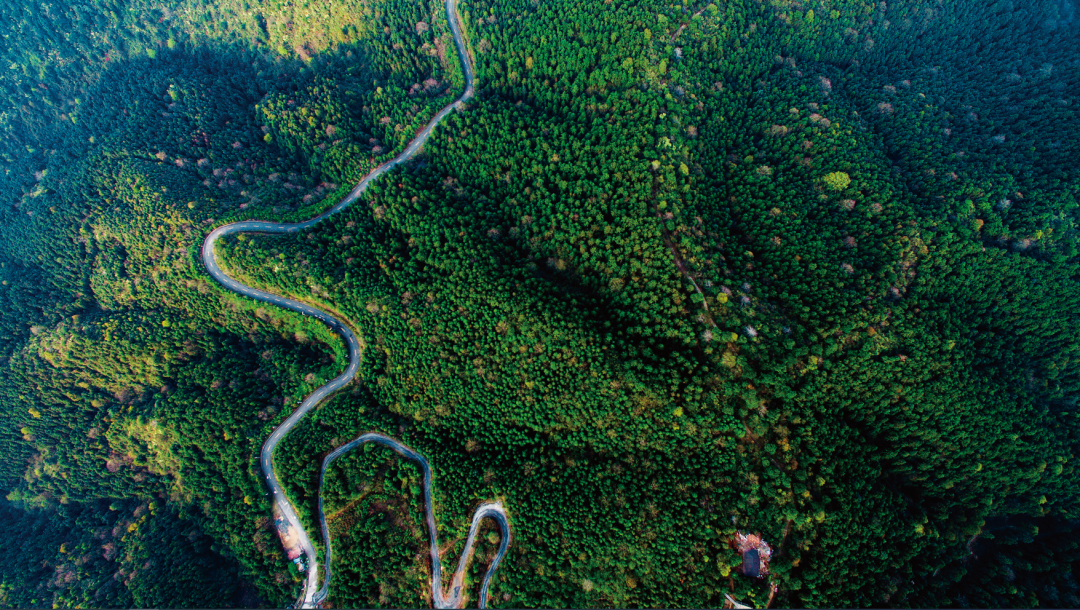 Yangtiangang National Forest Park