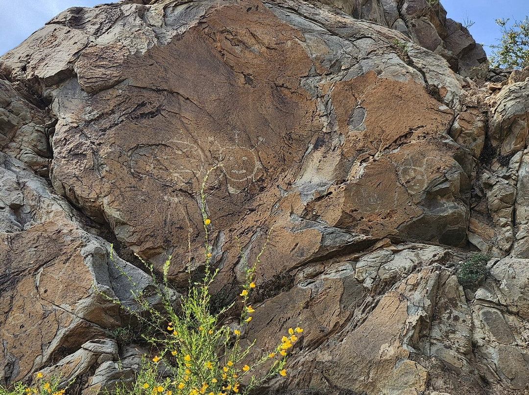 贺兰山岩画
