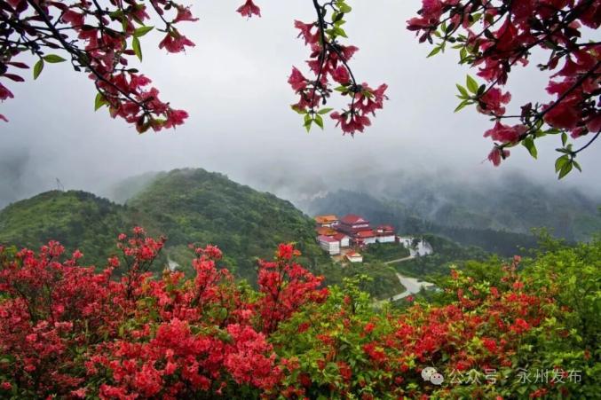 阳明山