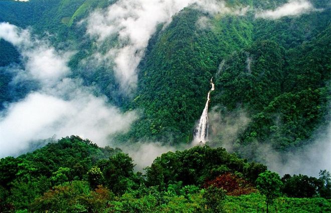 Ailao Mountain Nature Reserve