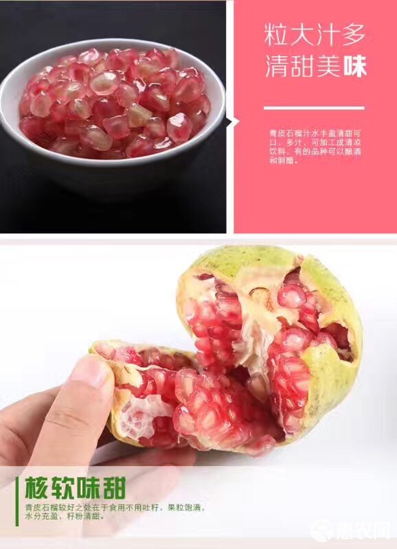 Huaiyuan Pomegranate