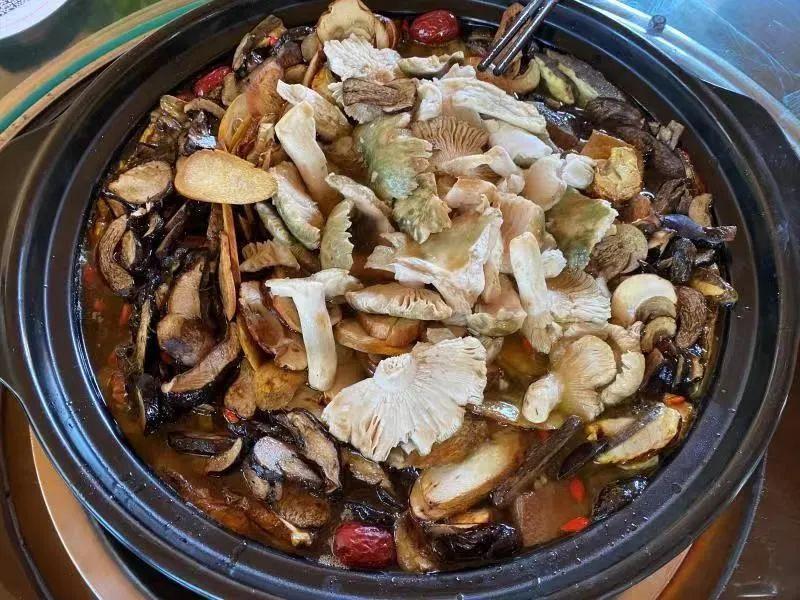 Chuxiong Wild Mushroom Hotpot