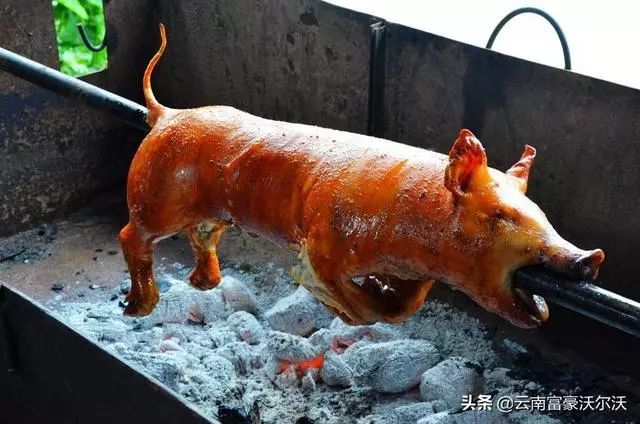 Roast Suckling Pig