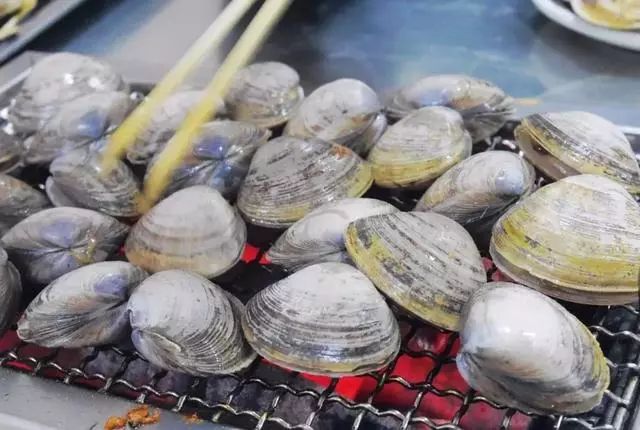 Yellow Clam