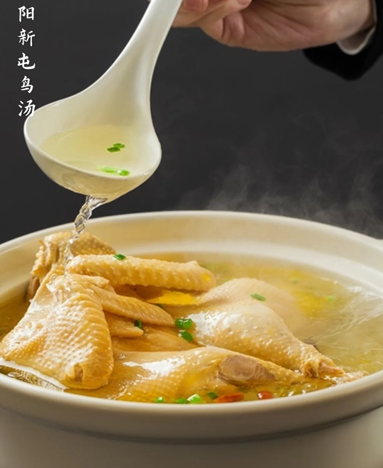 阳新屯鸟汤
