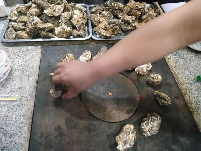 Oysters