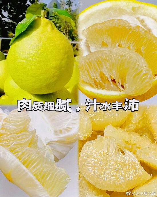 Meizhou Golden Pomelo