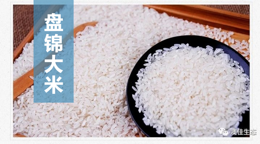 Panjin Rice