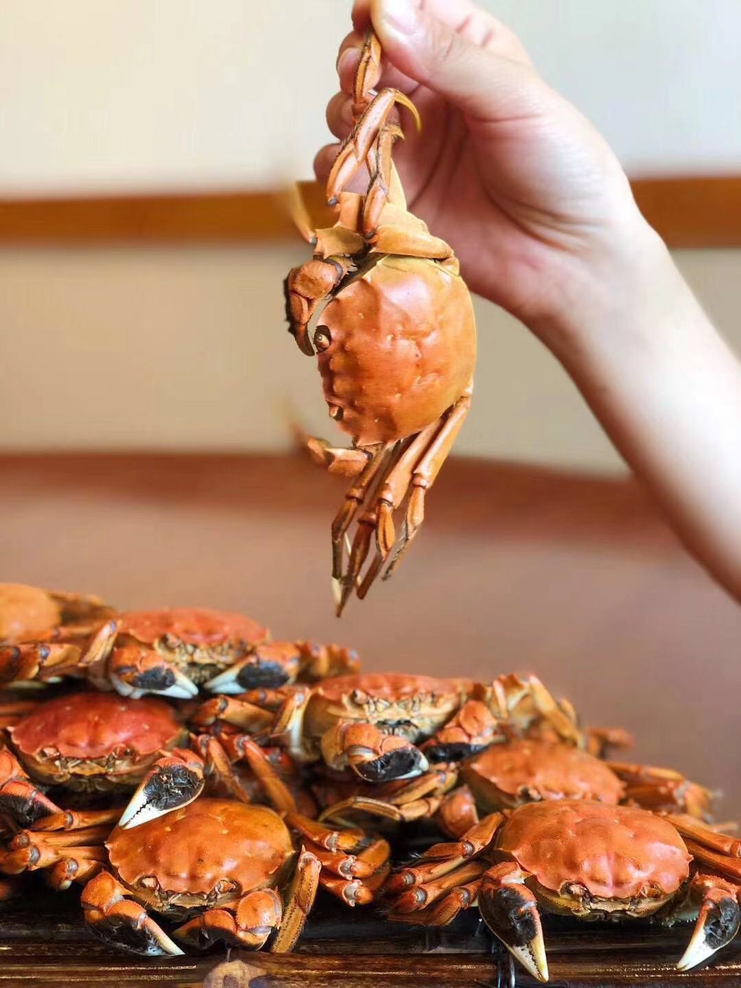 Panjin River Crab