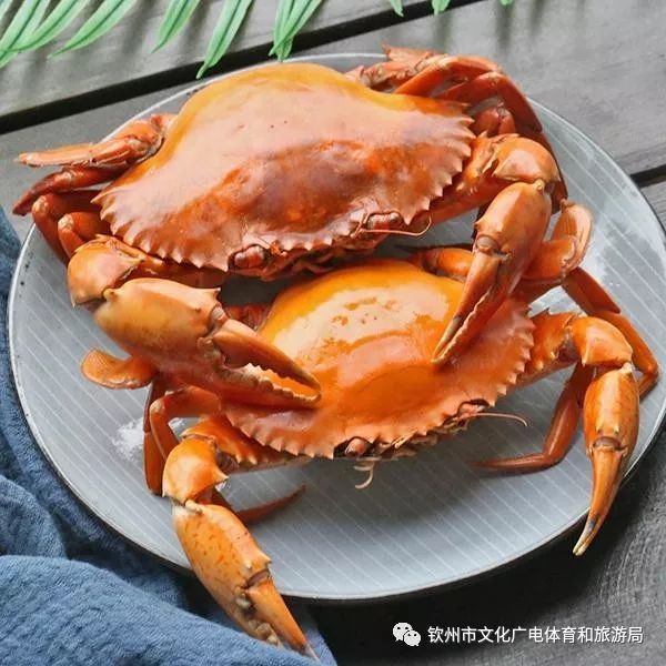 钦州青蟹