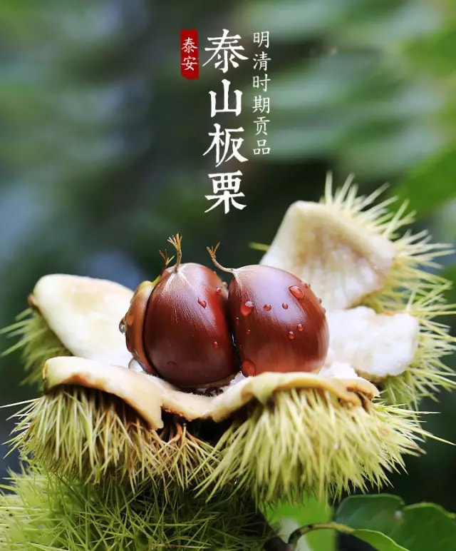 泰山板栗