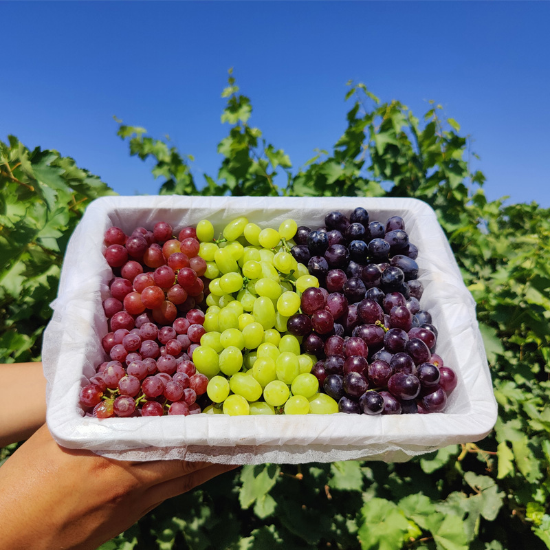 Grapes
