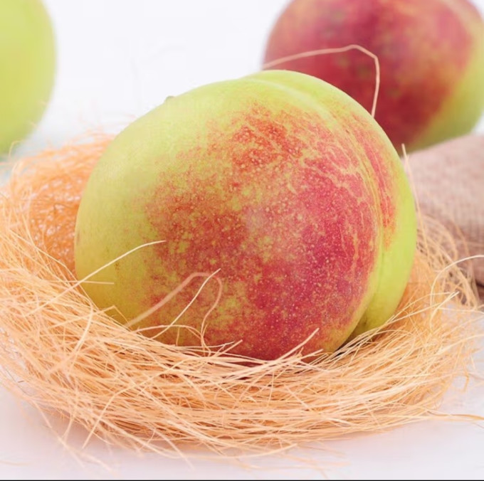 Qingzhou Honey Peach