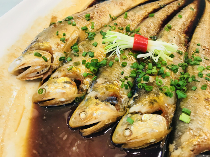 Jiangyin Knifefish