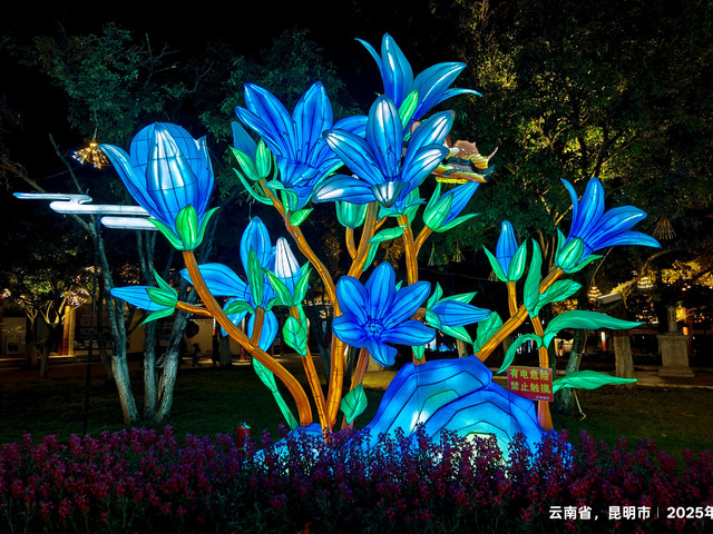 昆明花灯